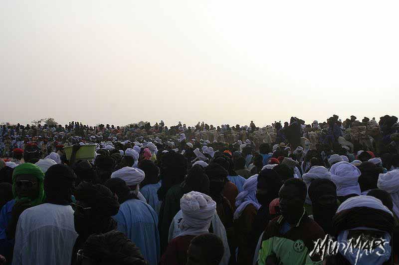 Mud Maps Africa Gaddafi camel party 3439